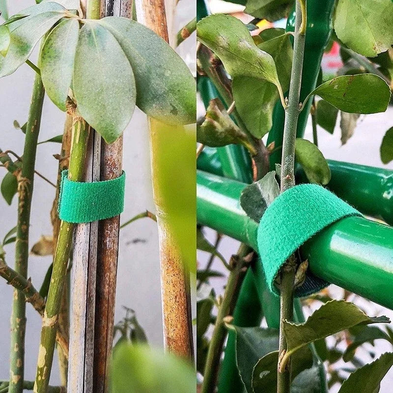 10/1M Nylon Plant Ties Plant Bandage Hook Tie Loop Adjustable Plant Support Reusable Fastener Tape for Home Garden Accessories