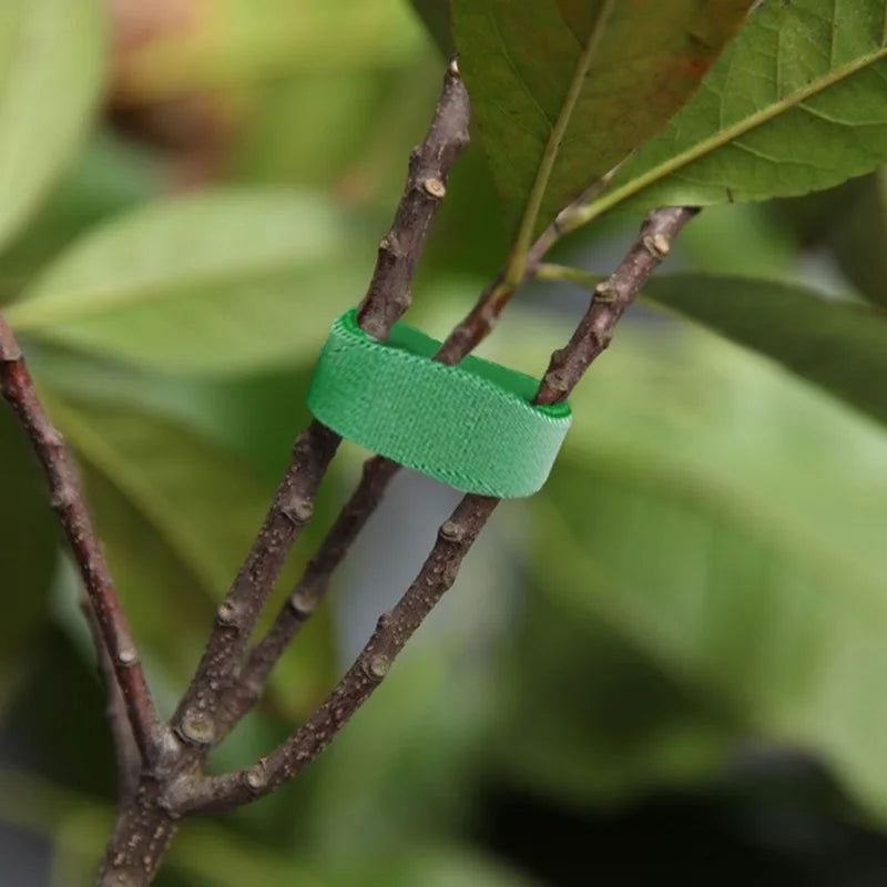10/1M Nylon Plant Ties Plant Bandage Hook Tie Loop Adjustable Plant Support Reusable Fastener Tape for Home Garden Accessories
