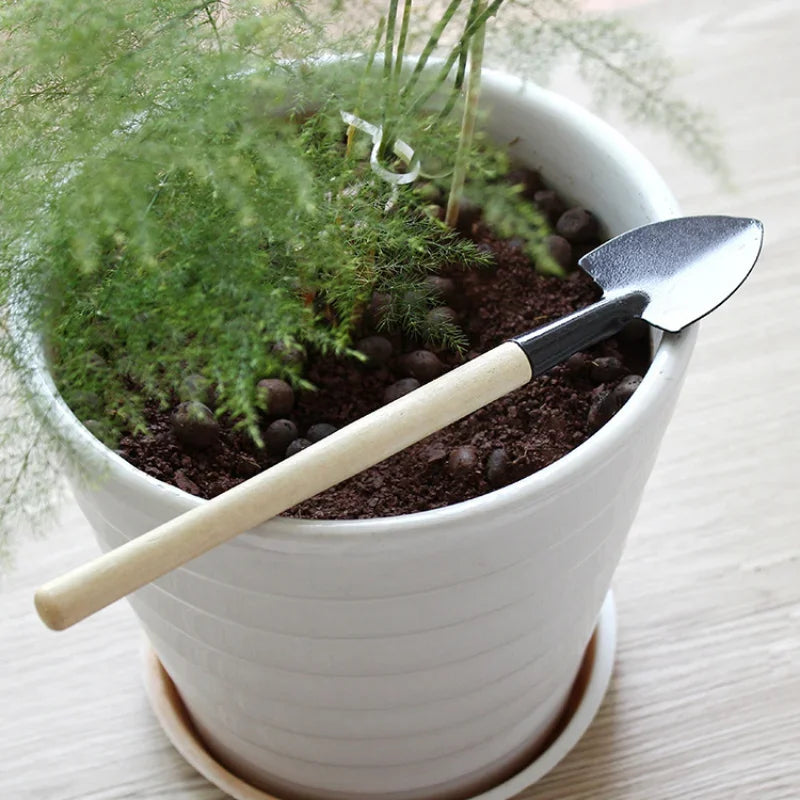 3vnt Mini sodo įrankių rinkinys vazonams medinė rankena kastuvas grėblys kastuvas Daugiafunkcis buitinis augalas bonsai įrankiai