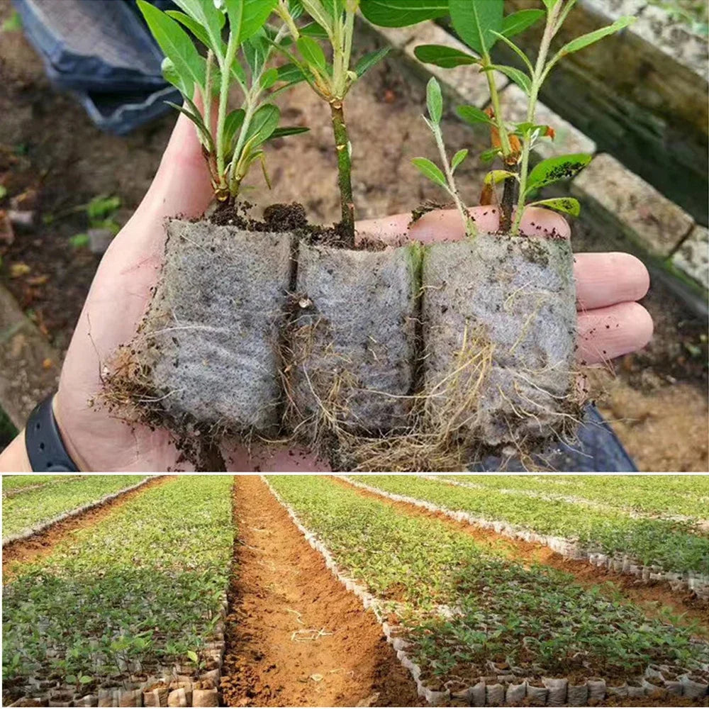 100-500 vnt Biologiškai skaidus medelyno maišelis Augalų auginimo maišeliai Neaustinių audinių sėklos sėti gėlių vazonams namų sodo reikmenims Įrankiai