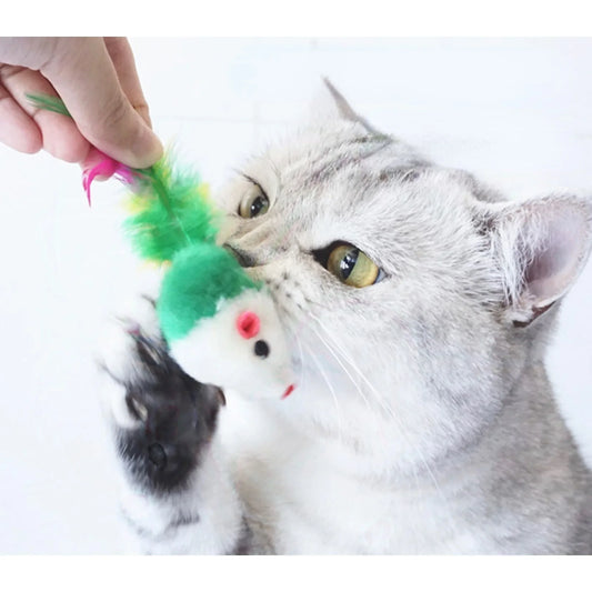10 vnt Minkštos vilnos netikros pelės katės žaislai Spalvingos plunksnos Juokingi žaislai katėms Interaktyvūs žaislai 고양이 장난감 Juguetes Para Gatos